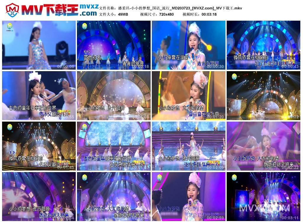 潘柔邑-小小的梦想_国语_流行_MD203723